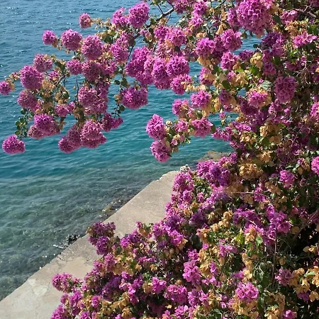 Διαμέρισμα Balcony On The Sea Komarna